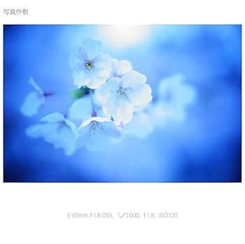 SONY - SONY SEL50F18 フィルターおまけ Amazon.co.jp: SONY(ソニー) 【レンズ と プロテクター セット